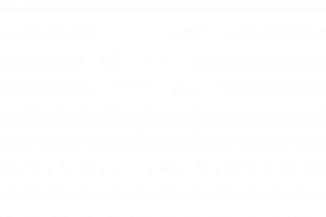 global-kigyo logo